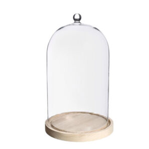 Glazen stolp XL 29cm hoog en 17cm breed met knop en blanco houten basis – B2B