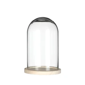 Glazen stolp 16cm hoog en 12cm breed op blanco houten basis – B2B