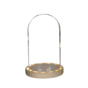 Glazen stolp XL 21.5cm hoog en 14cm breed met LED verlichting blanco houten basis - B2B