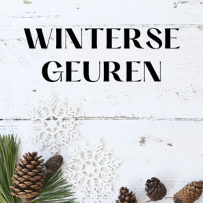 Winter periode uitgelicht